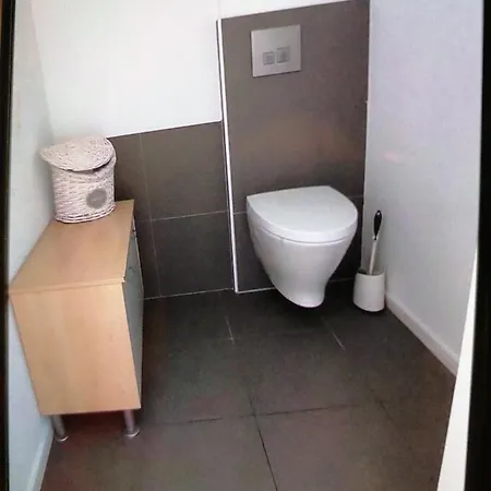 Daire L'appart' Des Maraichers - Au Calme - Terrasse & Garage