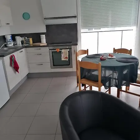L'appart' Des Maraichers - Au Calme - Terrasse & Garage Appartement