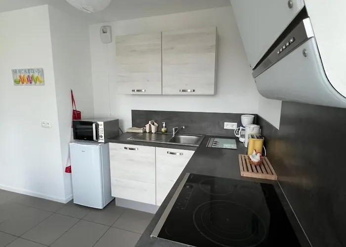 Appartamento L'appart' Des Maraichers - Au Calme - Terrasse & Garage Colmar